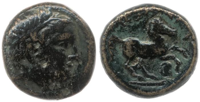 Price 351, реверс, bm