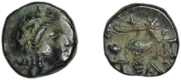 Temnus BMC Temnus 9, реверс, bm