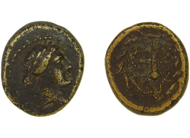 Sardis Hochard 2020 4.10, реверс, bm