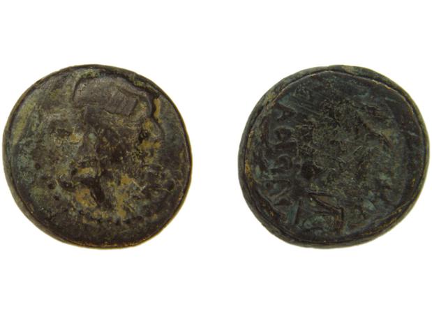 Sardis Hochard 2020 4.10, реверс, bm