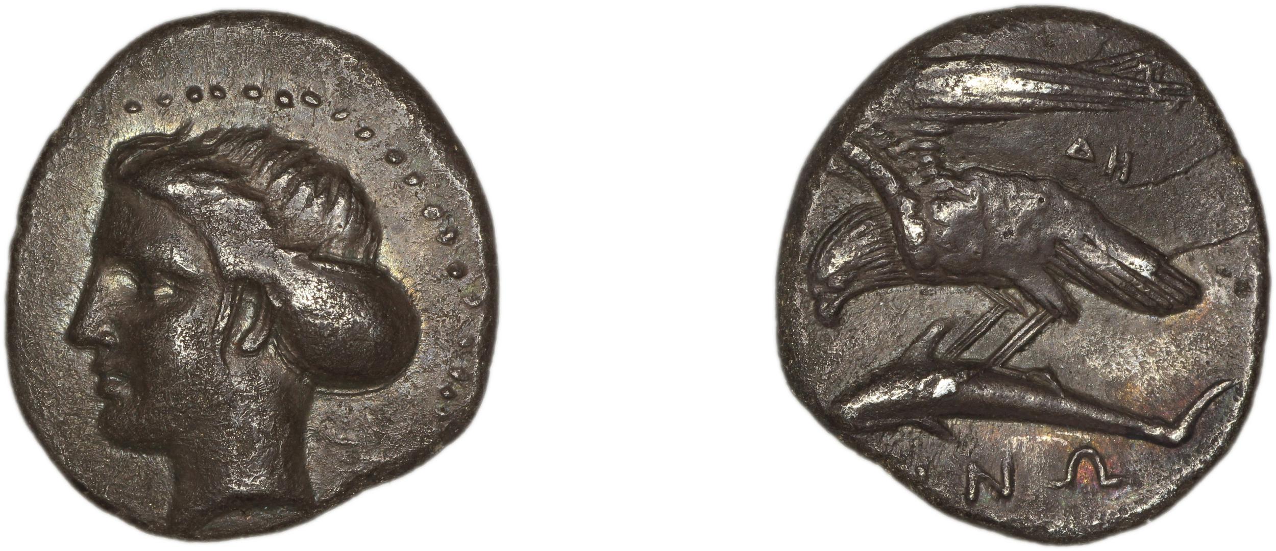 Sinope Waddington 1925 17-21a, аверс, bm