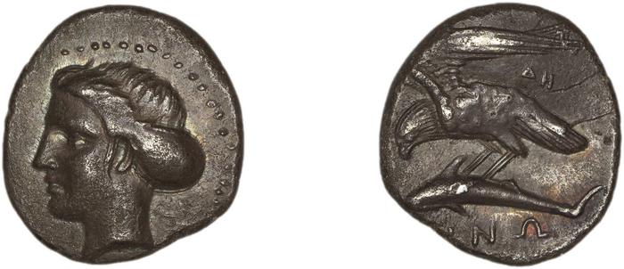 Sinope Waddington 1925 17-21a, реверс, bm