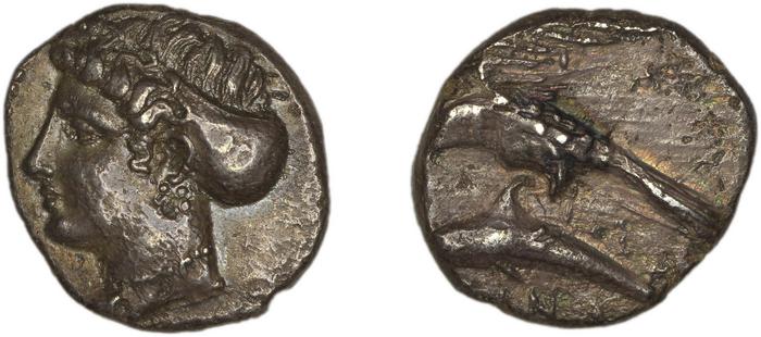 Sinope Waddington 1925 17-21a, реверс, bm