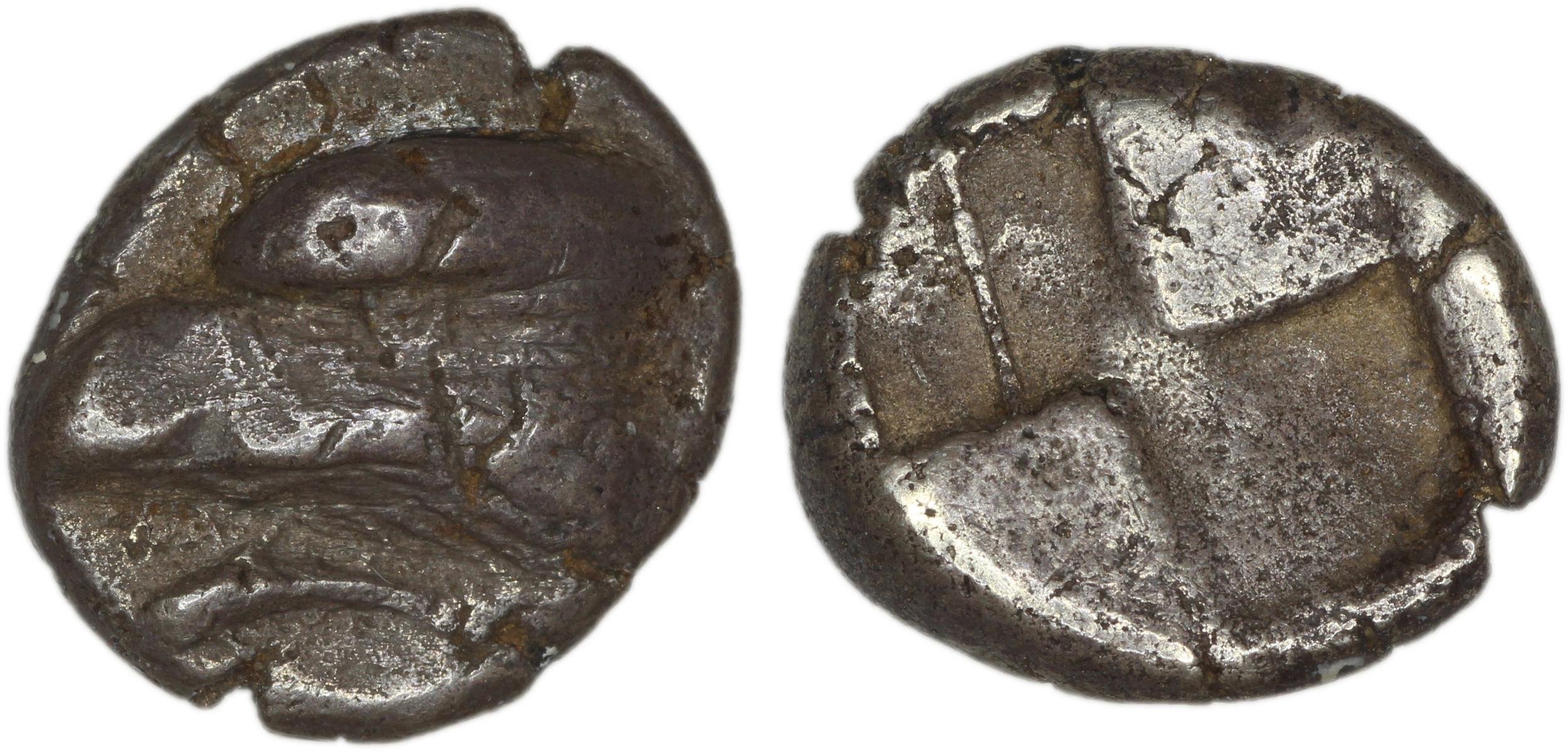 аверс Sinope Waddington 1925 11-14