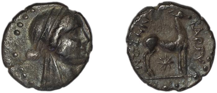 Bargylia SNG von Aulock 8074-5, реверс, bm