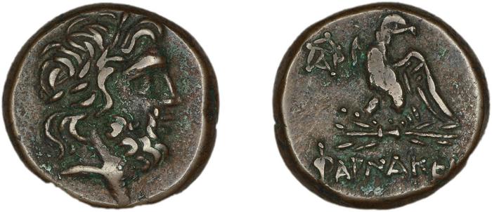 Pharnaceia Waddington 1925 4, реверс, bm