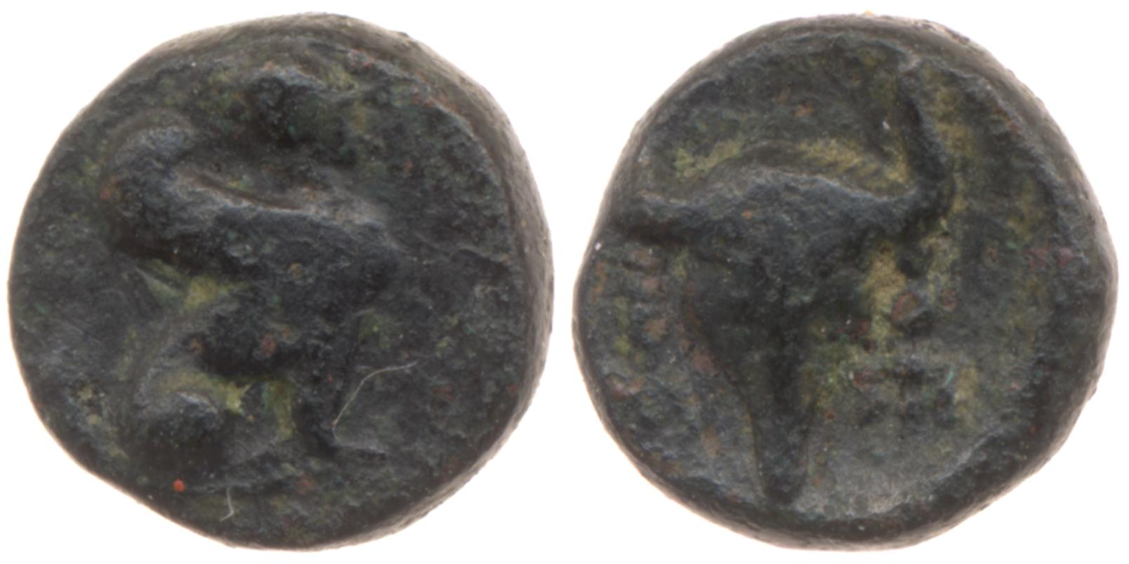 аверс Caunus British Museum 1920.7.28.40