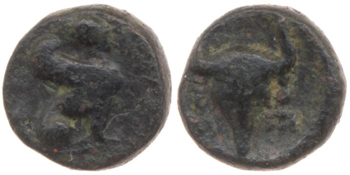 реверс Caunus British Museum 1920.7.28.40