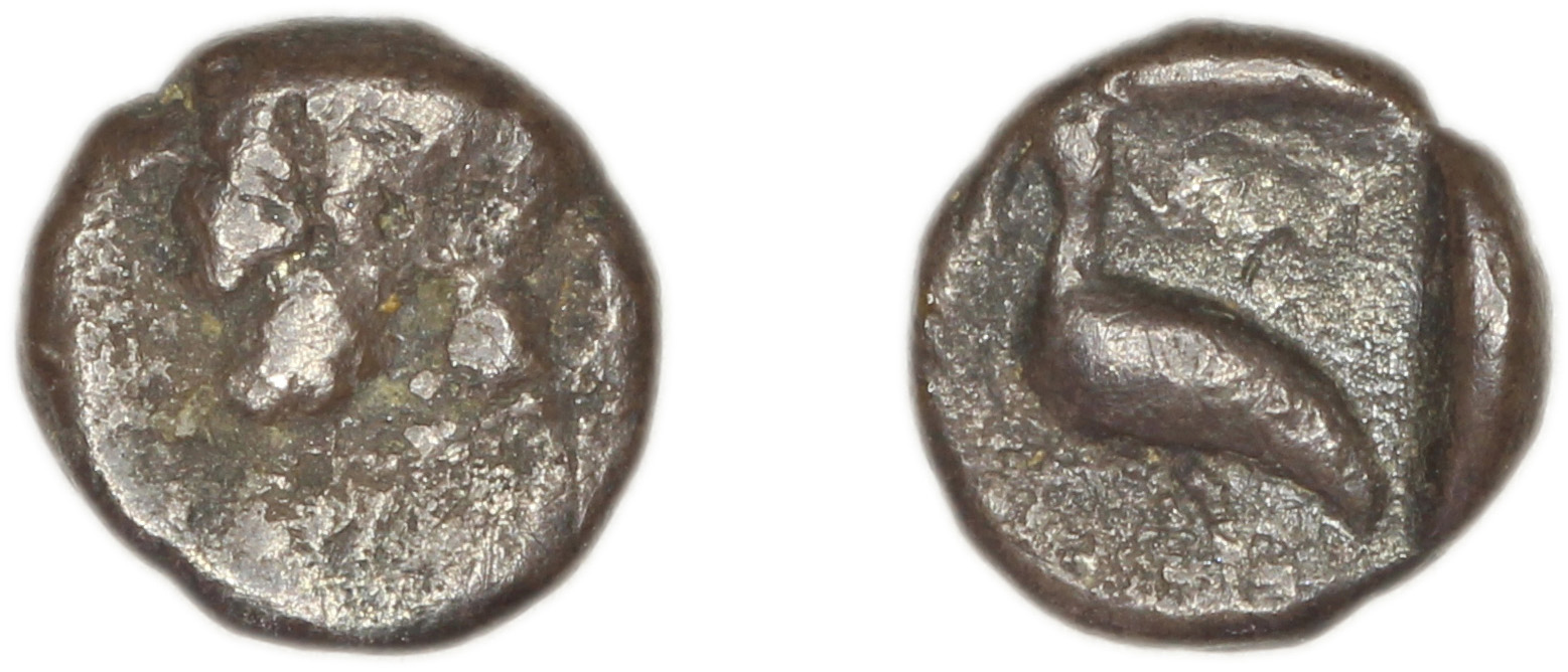 Miletus SNG Tübingen 3000-3017, аверс, bm