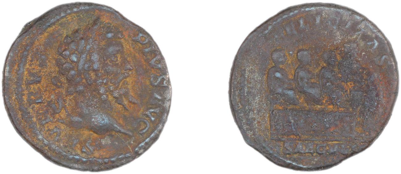 аверс RIC IV Septimius Severus 263
