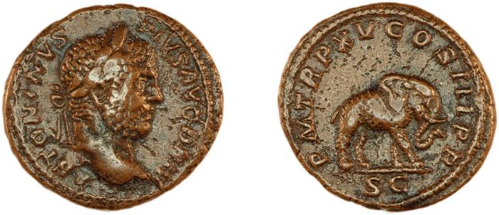 реверс RIC IV Caracalla 495