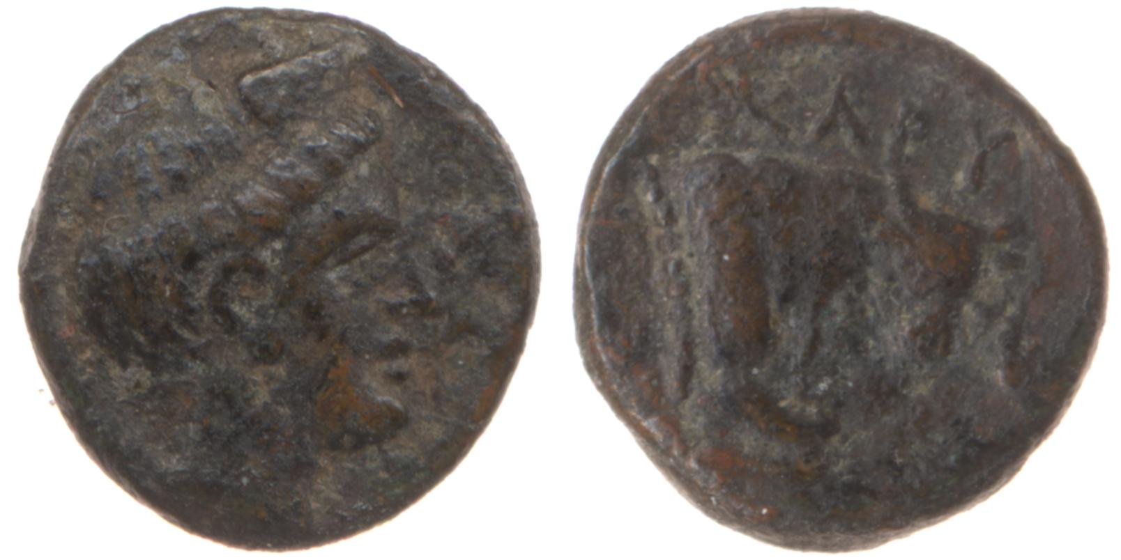 аверс Caryanda Konuk 2012 Fig. 6-7