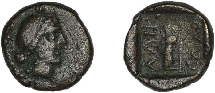 реверс Halicarnassus BMC Halicarnassus 74