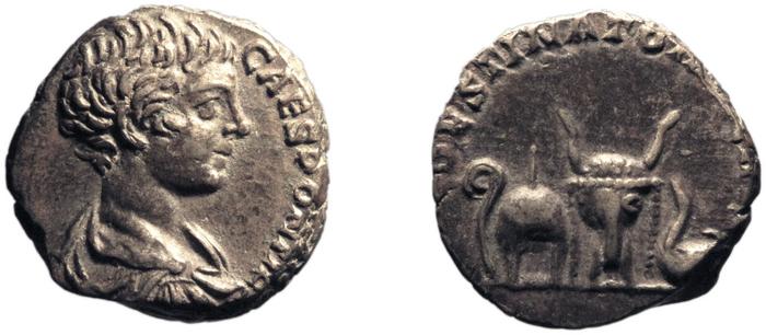 RIC IV Caracalla 6, реверс, bm