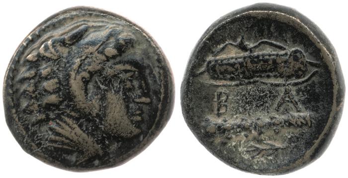 Price 377, реверс, bm