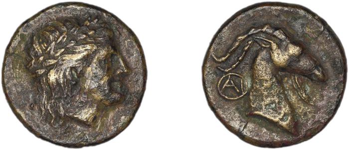 coin rev