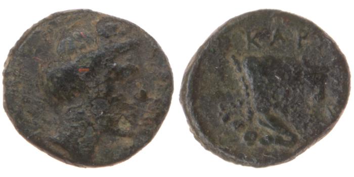 Caryanda Konuk 2012 Fig. 6-7, реверс, bm