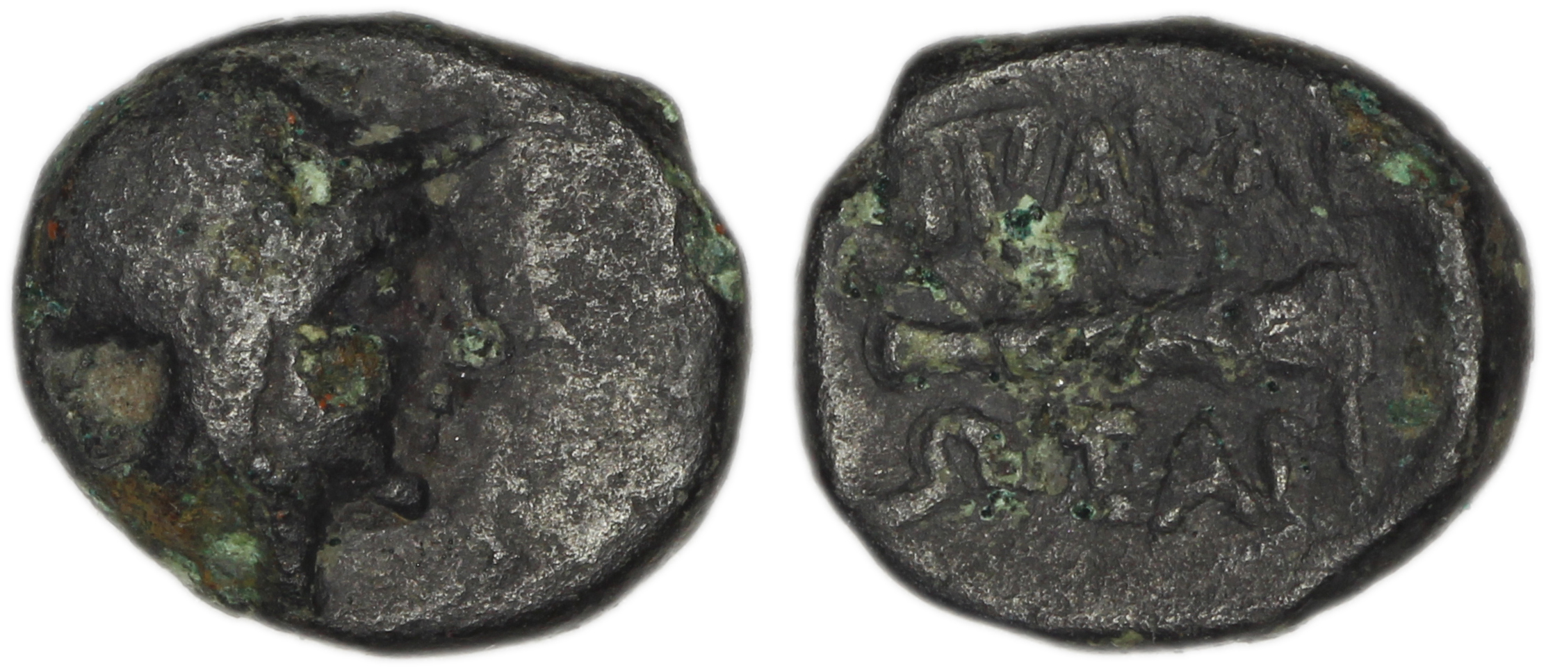 аверс Heracleia Pontica SNG BM Black Sea 1638