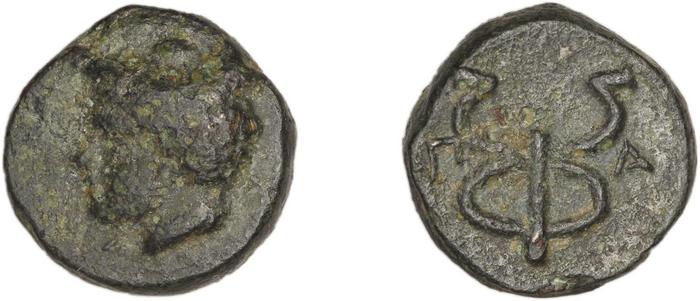 Phocaea BMC Phocaea 98, реверс, bm