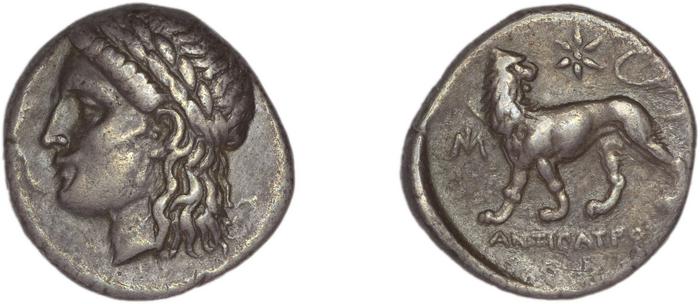 реверс Miletus Marcellesi 2004 3