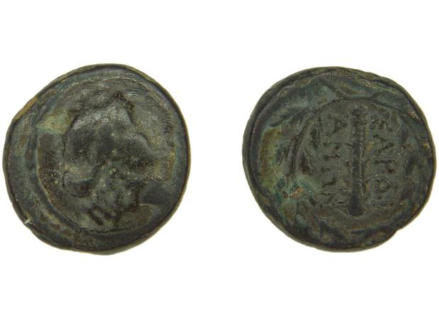 Sardis Hochard 2020 4.10, реверс, bm