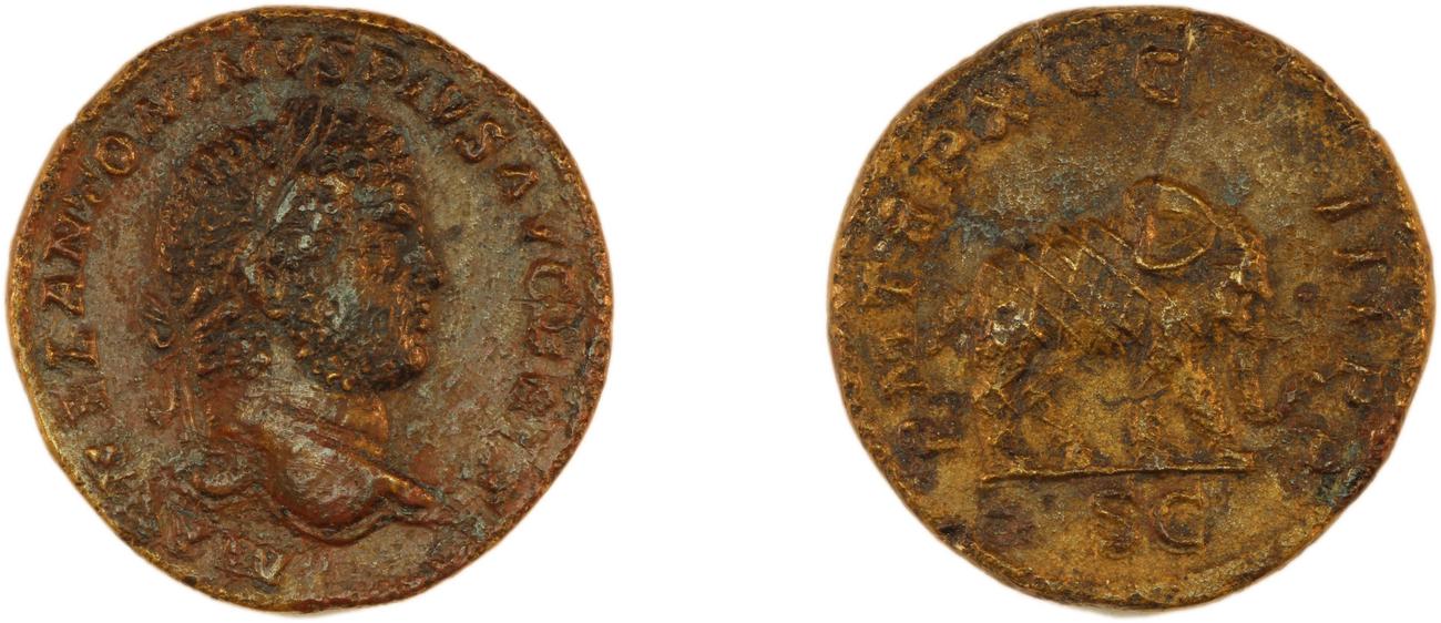 аверс RIC IV Caracalla 491