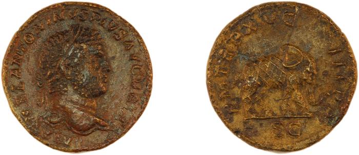 реверс RIC IV Caracalla 491