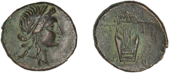 coin rev