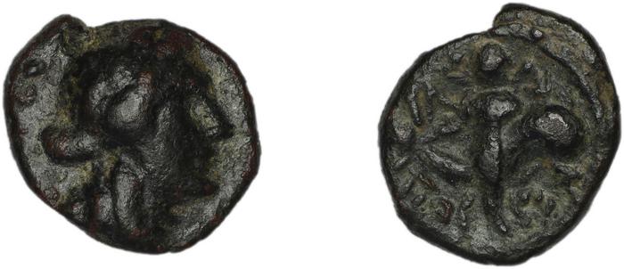 Iasos ashton 2007 pl. 15, 230-1, реверс, bm