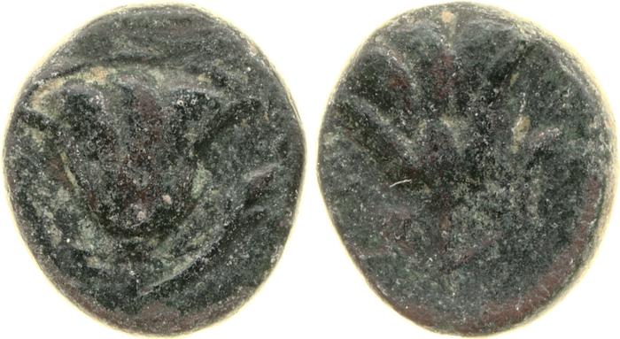Rhodes Ashton 2001 317-31, реверс, bm
