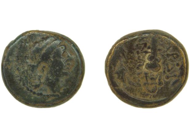 Sardis Hochard 2020 4.10, реверс, bm