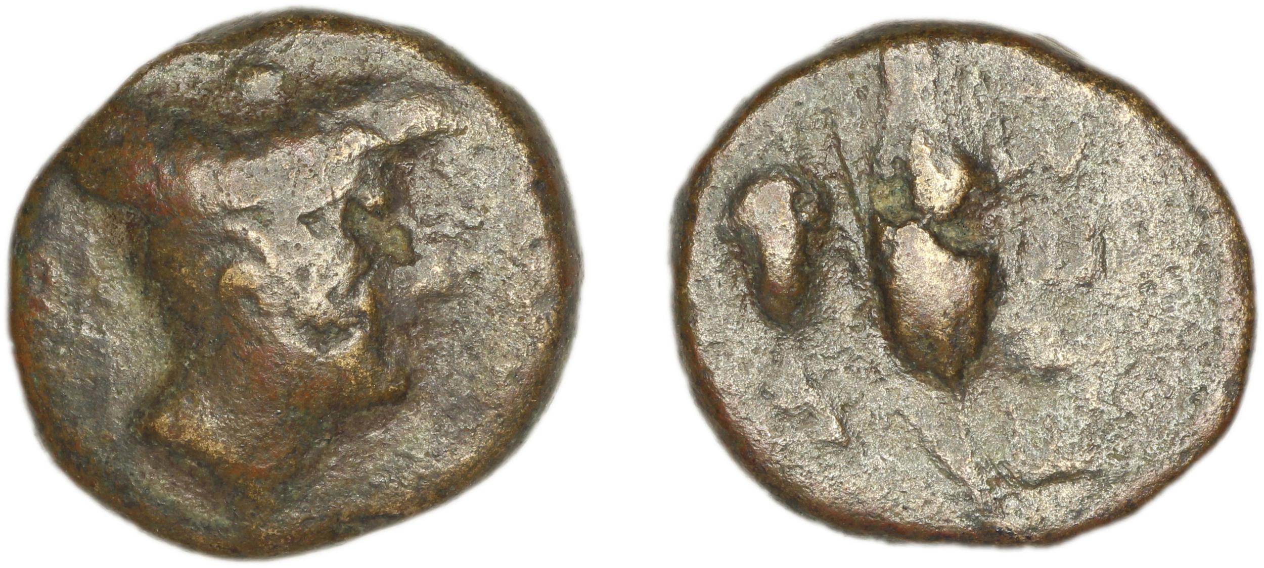 Eresus Hoover 2010 875, аверс, bm