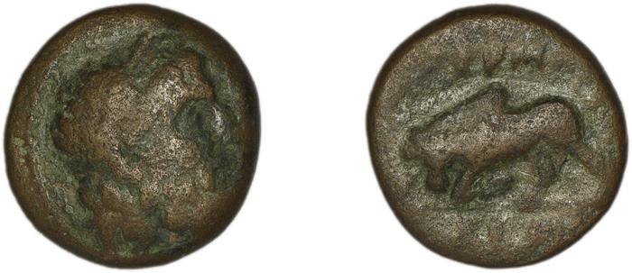Termessus Minor Kosmetatou 1998 VIII-IX, реверс, bm
