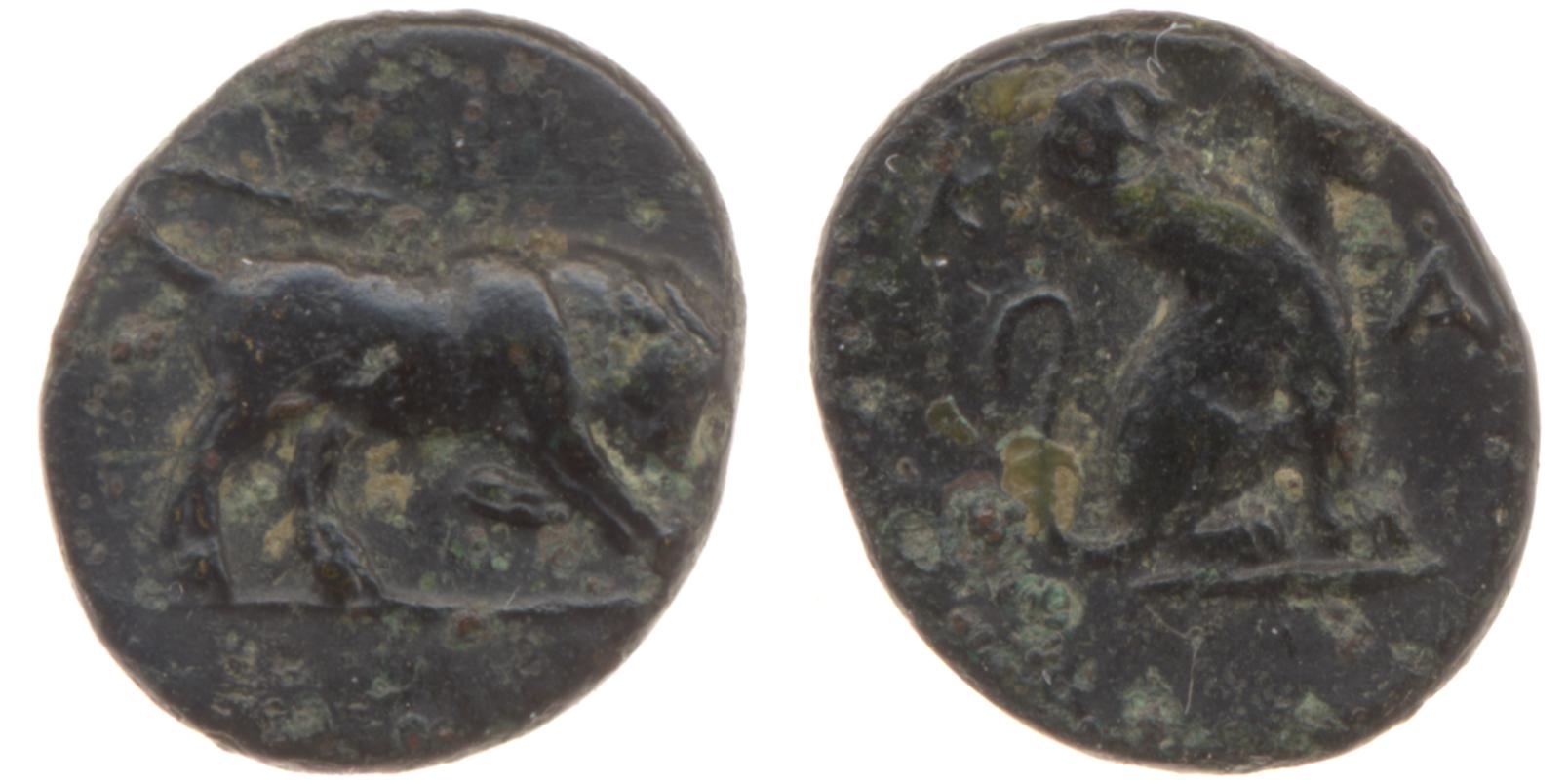 Caunus Konuk 1998 pl. 50, B, аверс, bm