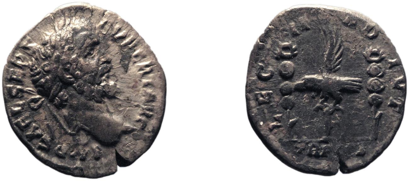 аверс RIC IV Septimius Severus 5