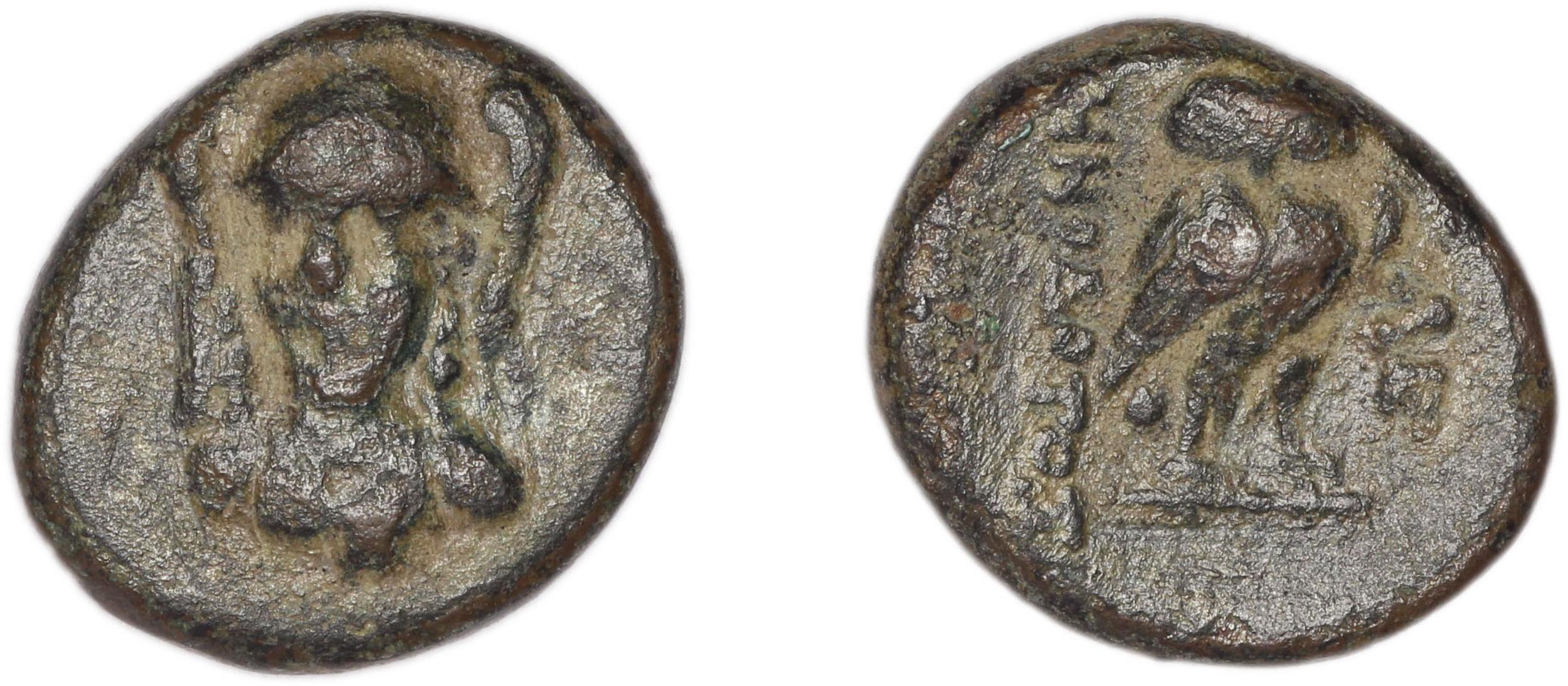 obverse Lebedus Kinns 1980 Period III, AE 5