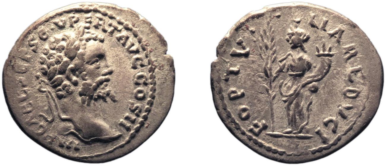 аверс RIC IV Septimius Severus 384