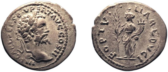 реверс RIC IV Septimius Severus 384