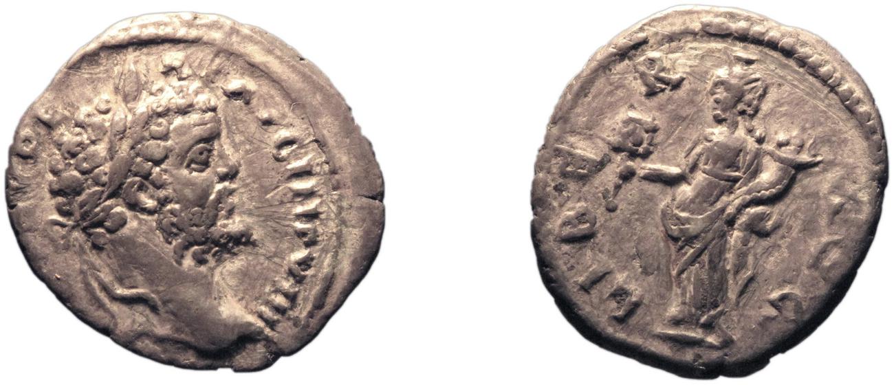 аверс RIC IV Septimius Severus 481
