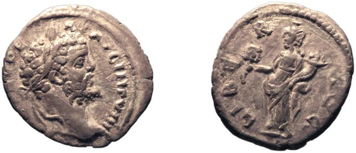 реверс RIC IV Septimius Severus 481