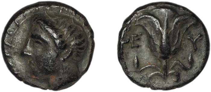 реверс Rhodes Ashton 2001 157-162