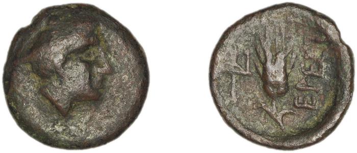 reverse Eresus Hoover 2010 882