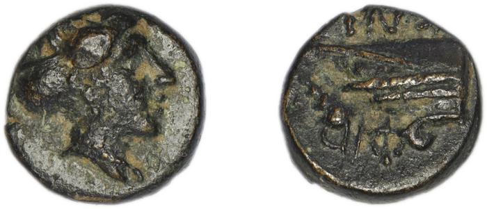reverse Cnidus Nordbø 1972 Series 6