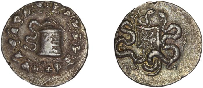 reverse Ephesus Kleiner and Noe 1977 30b
