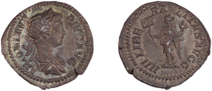 RIC IV Caracalla 135, реверс, bm