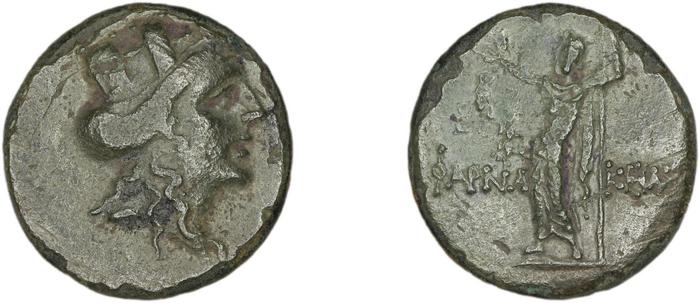 реверс Pharnaceia Waddington 1925 5