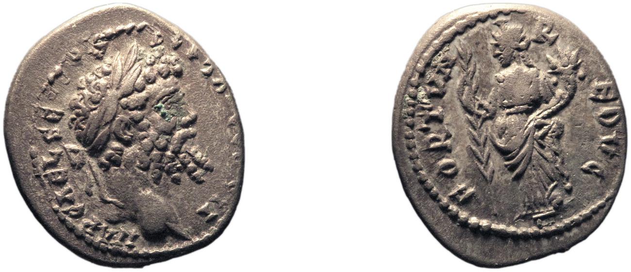 аверс RIC IV Septimius Severus 383