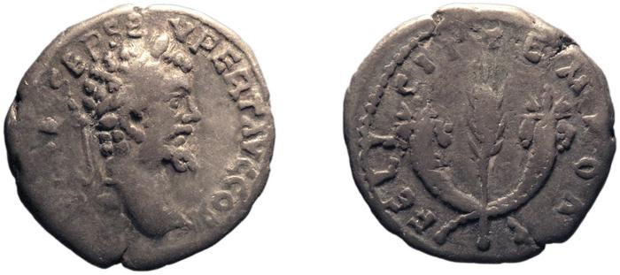 RIC IV Septimius Severus 373, реверс, bm