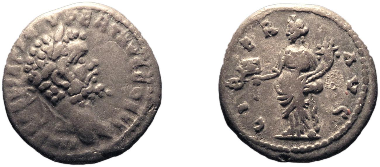 RIC IV Septimius Severus 398, аверс, bm