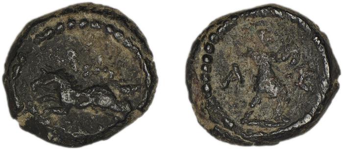 Aspendus BMC Aspendus 75, реверс, bm